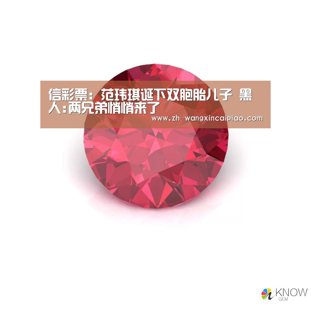 信彩票:范玮琪诞下双胞胎儿子 黑人:两兄弟悄悄来了(图2) 信彩票